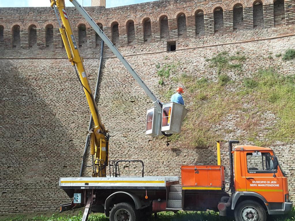Nuovo intervento di pulizia delle mura cittadine Nuovo intervento di pulizia delle mura cittadine